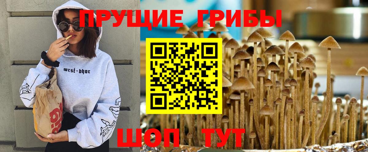 Фролово  Галлюциногенные грибы ЛСД  Вход с VPN 